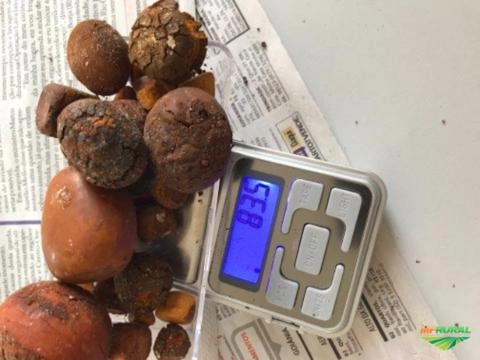 Imagem Compro Pedra de fel Imagem Compro Pedra de fel