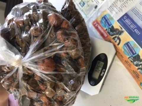 Compro Pedra de fel Imagem Compro Pedra de fel