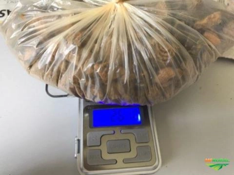 Imagem Compro Pedra de fel Imagem Compro Pedra de fel