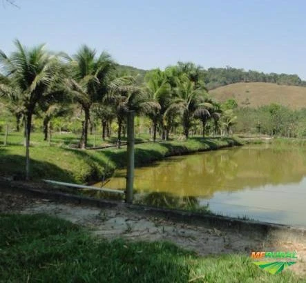 Sitio p/ Pscicultura com 6.000 m2 de Lamina D