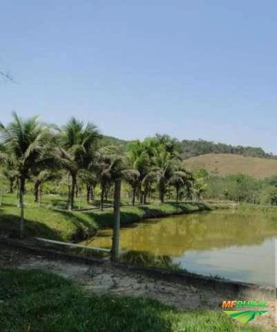 Sitio p/ Pscicultura com 6.000 m2 de Lamina D