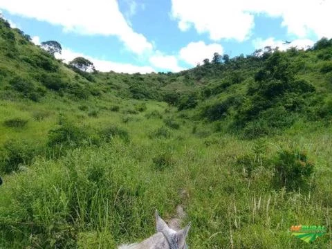 Fazenda próximo a Almenara