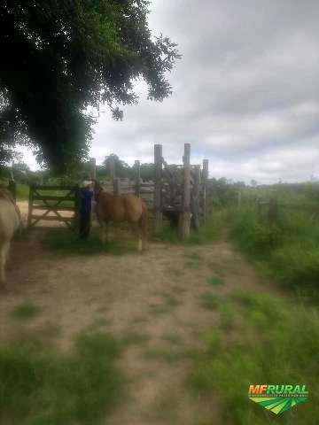 Fazenda próximo a Almenara