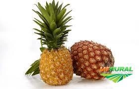 Abacaxi, manga, maracujá Imagem Abacaxi, manga, maracujá