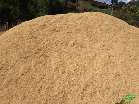 Casca de arroz na região de Bragança Paulista