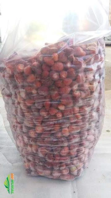 Imagem Morangos Imagem Morangos