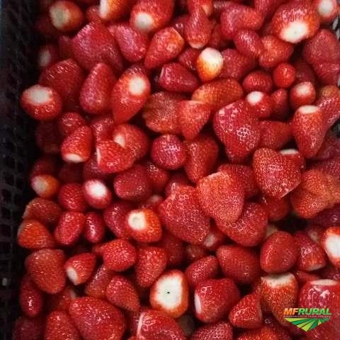 Imagem Morangos Imagem Morangos