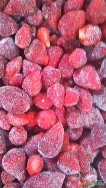 Imagem Morangos Imagem Morangos