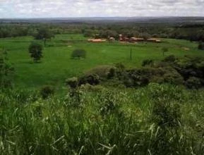 Fazenda para criação de gado no norte de Minas Gerais
