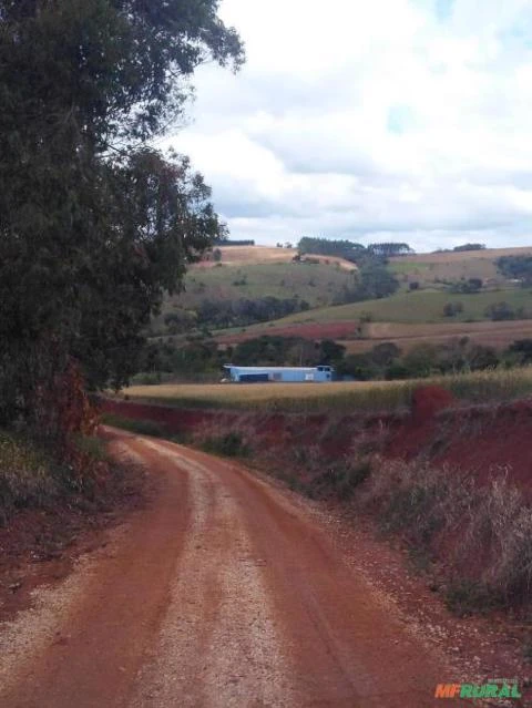 Terreno Rural