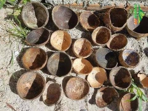 Ofertamos cocos,secos e verdes, para todo Brasil Imagem Ofertamos cocos,secos e verdes, para todo Brasil