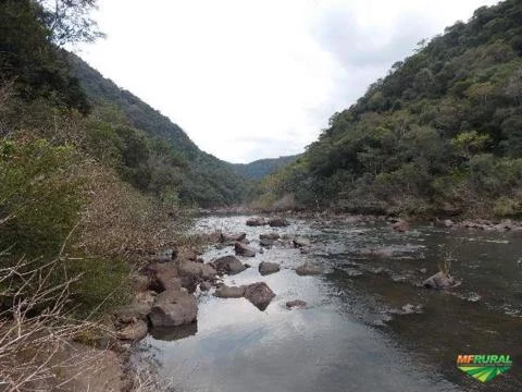 Sitio 130 hectares em Gramado na Serra Gaúcha.