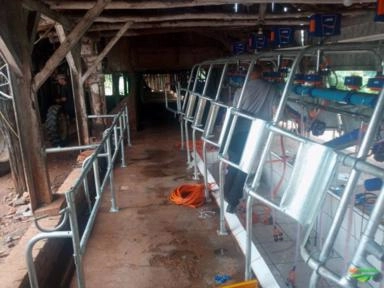 Imagem Contenção galvanizada sala de ordenha Imagem Contenção galvanizada sala de ordenha