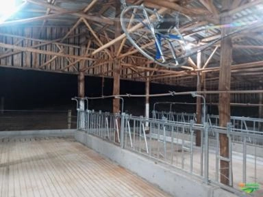 Imagem Contenção galvanizada sala de ordenha Imagem Contenção galvanizada sala de ordenha