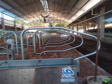 Imagem Contenção galvanizada sala de ordenha Imagem Contenção galvanizada sala de ordenha