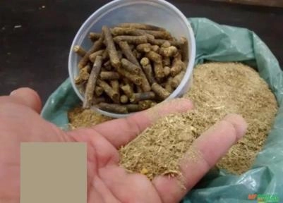 Maquina Peletizadora W200 - Motor 10cv - 200kg hora Imagem Maquina Peletizadora W200 - Motor 10cv - 200kg hora