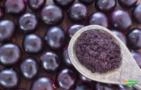 AÇAÍ LIOFILIZADO Imagem AÇAÍ LIOFILIZADO