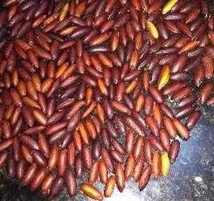 Depoimento de anúncio vendido Depoimento de anúncio vendido