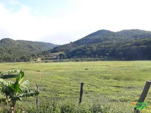 Fazenda Urbana em Florianópolis