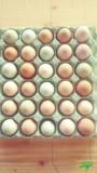 Ovos Caipiras Coloridos