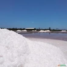 Sal Marinho | Cloreto de Sódio  (NaCl)