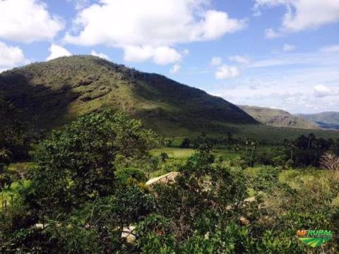 Fazenda na Chapada dos Veadeiros para arrendamento ou venda