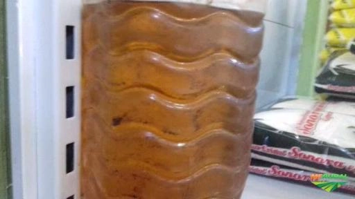 óleo de copaíba Imagem óleo de copaíba