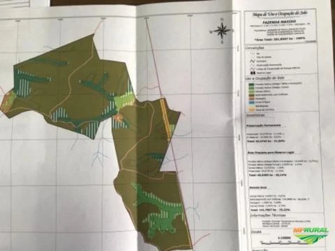 Fazenda de reflorestamento