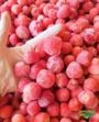Morango fruta congelado para industria Imagem Morango fruta congelado para industria