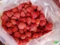 Morango fruta congelado para industria