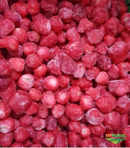 Morango fruta congelado para industria Imagem Morango fruta congelado para industria