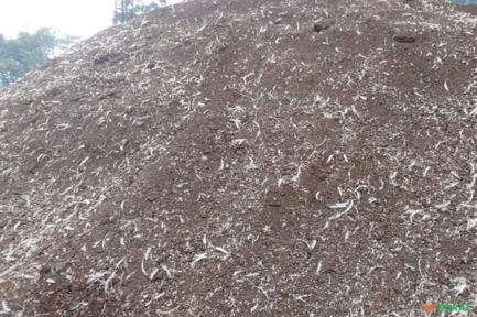 Esterco de galinha seco Imagem Esterco de galinha seco