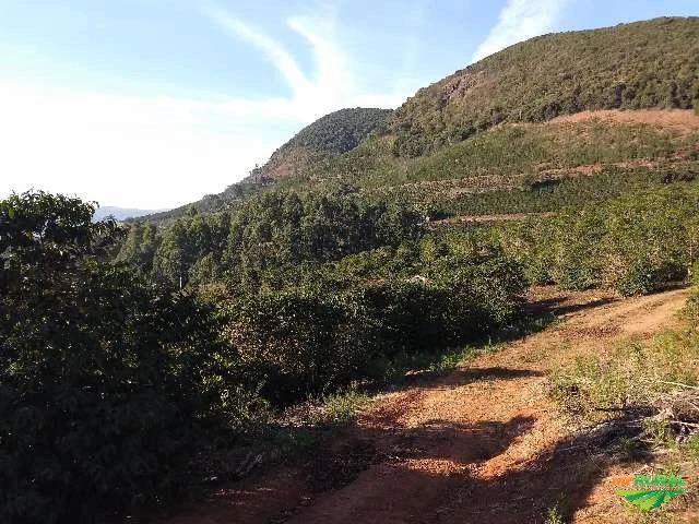 Fazenda de Café