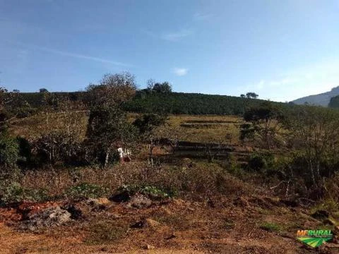 Fazenda de Café