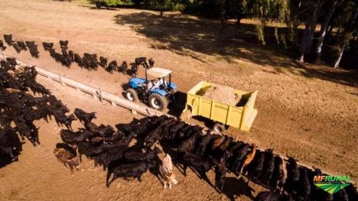 Vagão Forrageiro JLS URUTUX 9K Imagem Vagão Forrageiro JLS URUTUX 9K