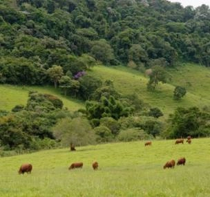 Depoimento de anúncio vendido Depoimento de anúncio vendido