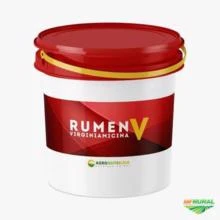 Rumen-V