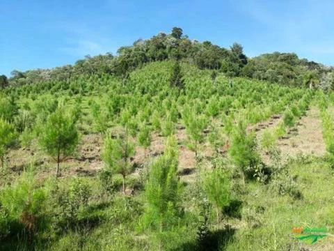 Fazenda dupla aptidão em Inacio Martins