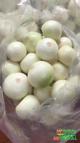 Cebola Descascada kg Imagem Cebola Descascada kg