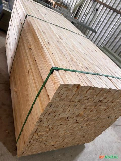 Imagem PINUS SECO PRÉ CORTADO Imagem PINUS SECO PRÉ CORTADO