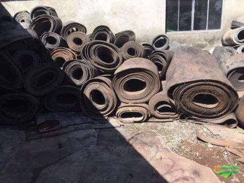 Imagem Correias transportadoras e Cochos para alimentação Imagem Correias transportadoras e Cochos para alimentação