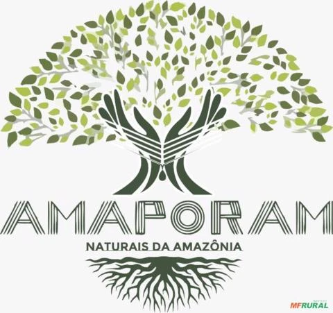 Produtos da Moringa Oleifera