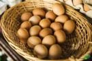 Ovos de Galinha Caipira Orgânicos Qualidade Garantida