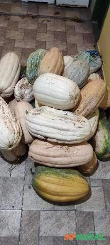 Abóbora Imagem Abóbora