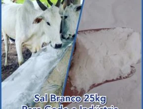Sal Branco 25 kg Comum