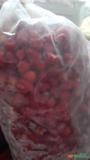 Morango Congelado Imagem Morango Congelado