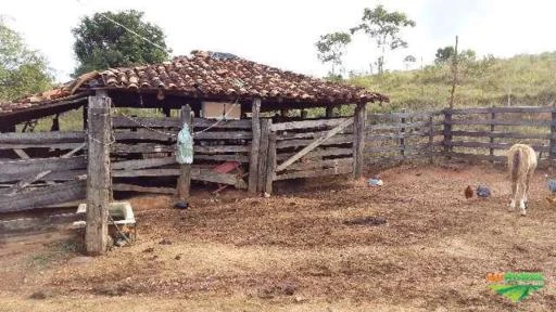 Fazenda 183 hectares em São Roque de Minas, bairro Olhos d´agua.