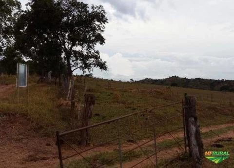 Fazenda 183 hectares em São Roque de Minas, bairro Olhos d´agua.
