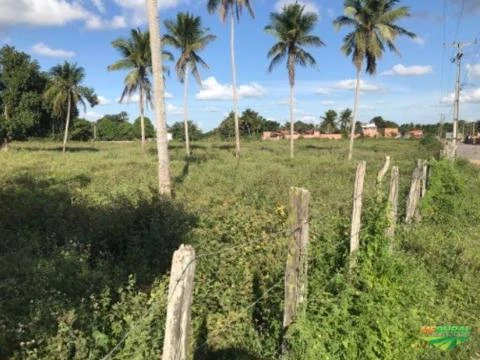 Propriedade rural a 3 km do centro da cidade!