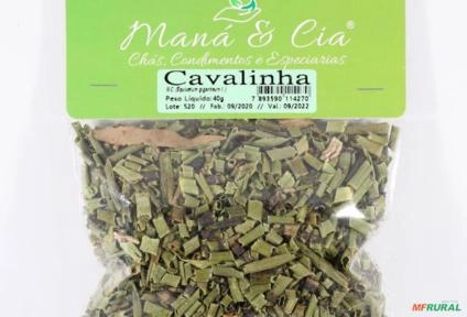 Cavalinha Kit Com 10 Unidades Imagem Cavalinha Kit Com 10 Unidades